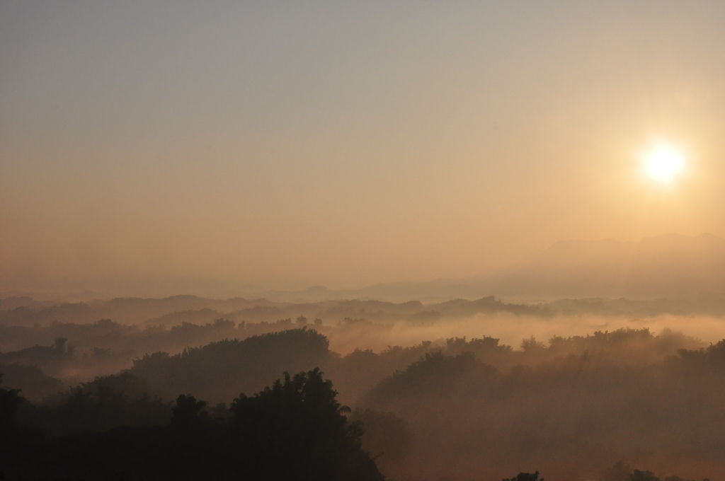 DSC_0337.JPG DSC_0337.JPG