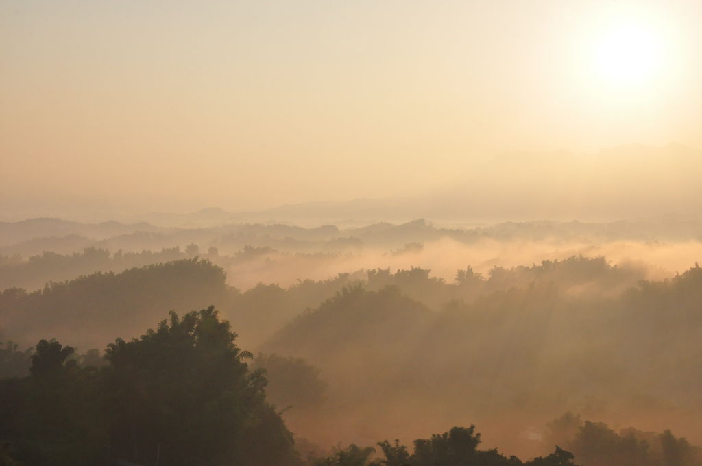 DSC_0343.JPG DSC_0343.JPG