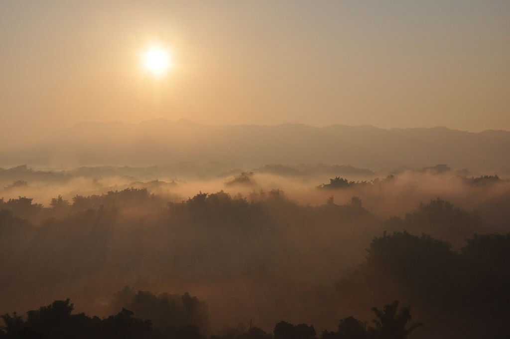 DSC_0347.JPG DSC_0347.JPG