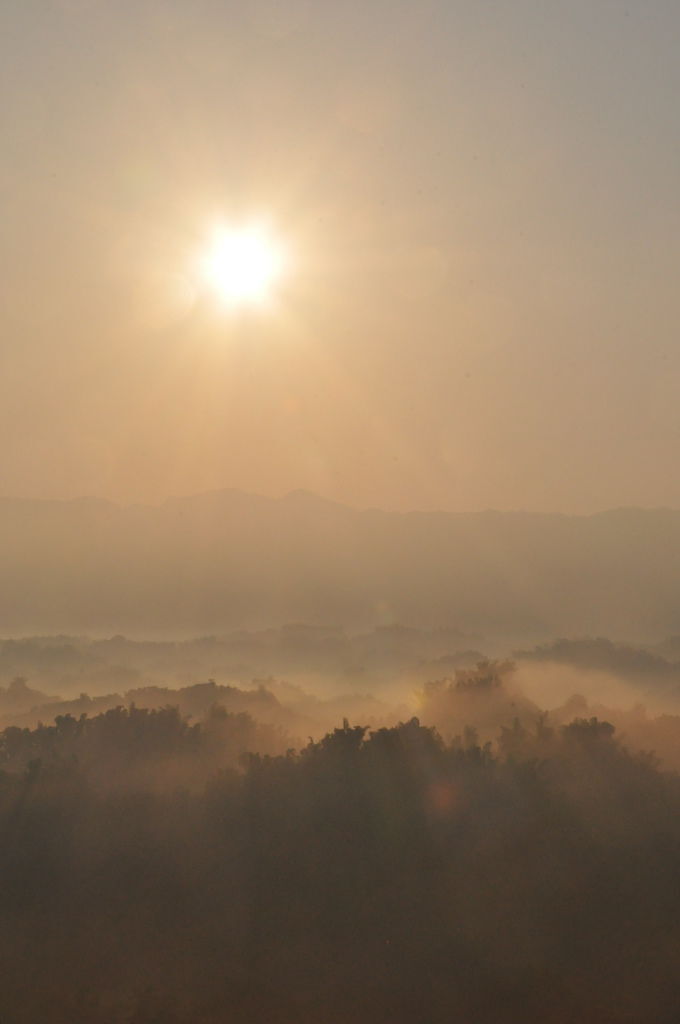 DSC_0364.jpg DSC_0364.jpg