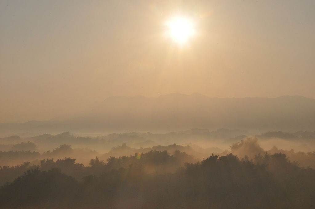 DSC_0370.JPG DSC_0370.JPG