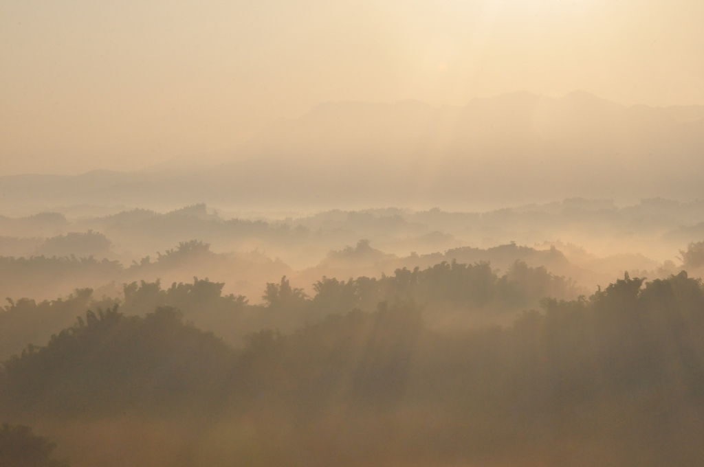 DSC_0372.JPG DSC_0372.JPG