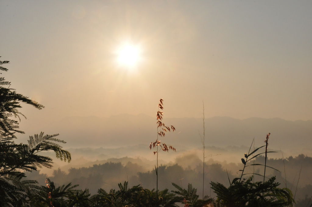 DSC_0378.JPG DSC_0378.JPG