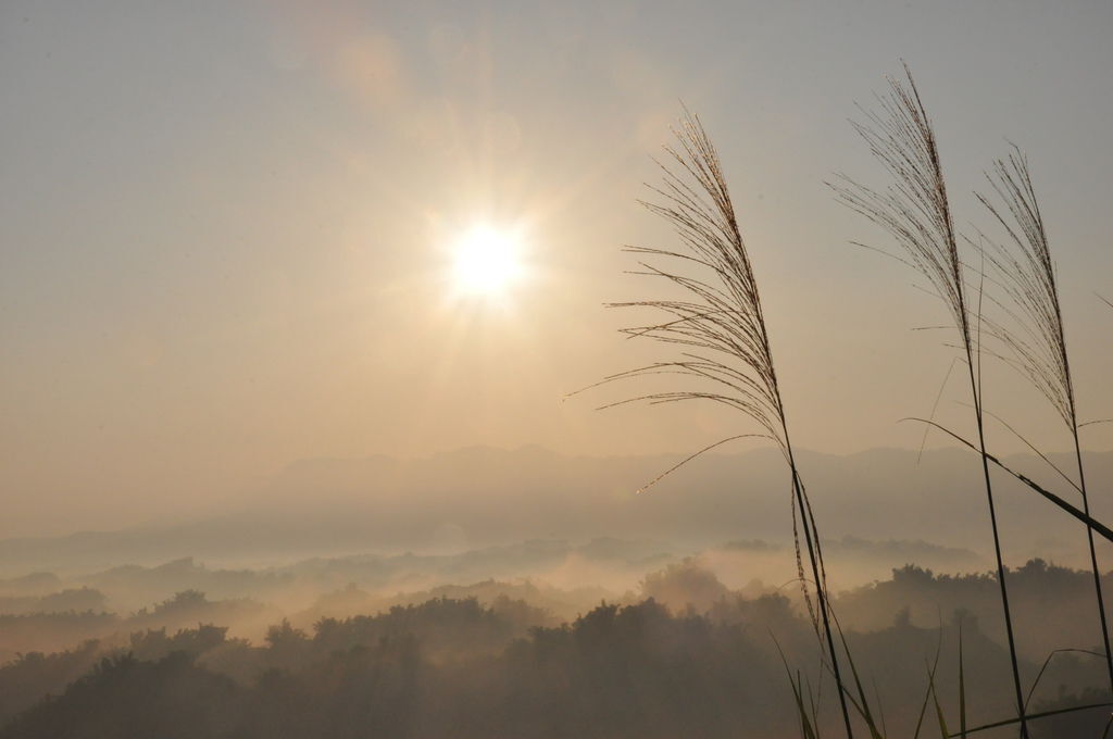 DSC_0381.JPG DSC_0381.JPG