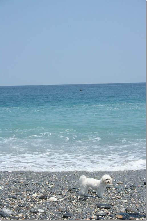IMG_8567 IMG_8567