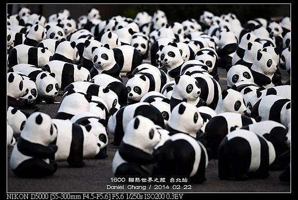 nEO_IMG_140222--1600 Pandas 095-800.jpg
