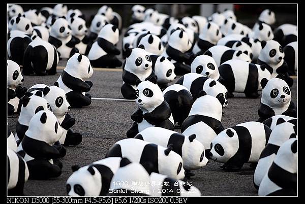 nEO_IMG_140222--1600 Pandas 101-800.jpg