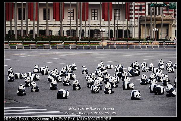 nEO_IMG_140222--1600 Pandas 106-800.jpg