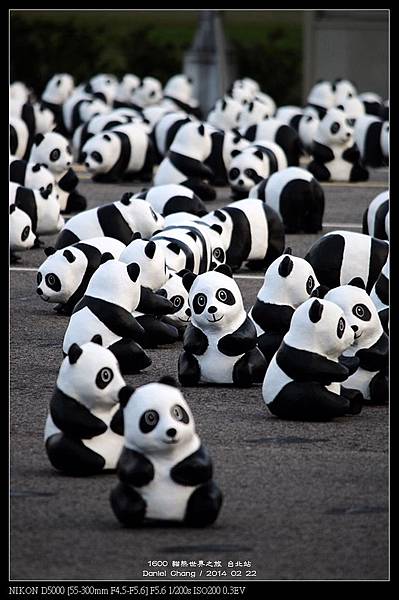 nEO_IMG_140222--1600 Pandas 113-800.jpg