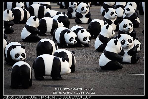 nEO_IMG_140222--1600 Pandas 115-800.jpg