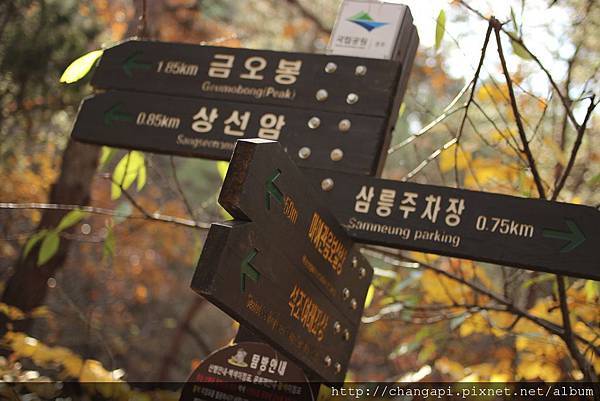 要前往1.85km外的金鰲峰