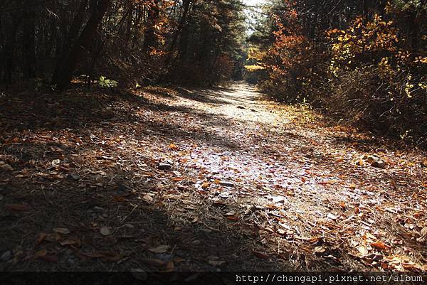 好夢幻的顏色阿