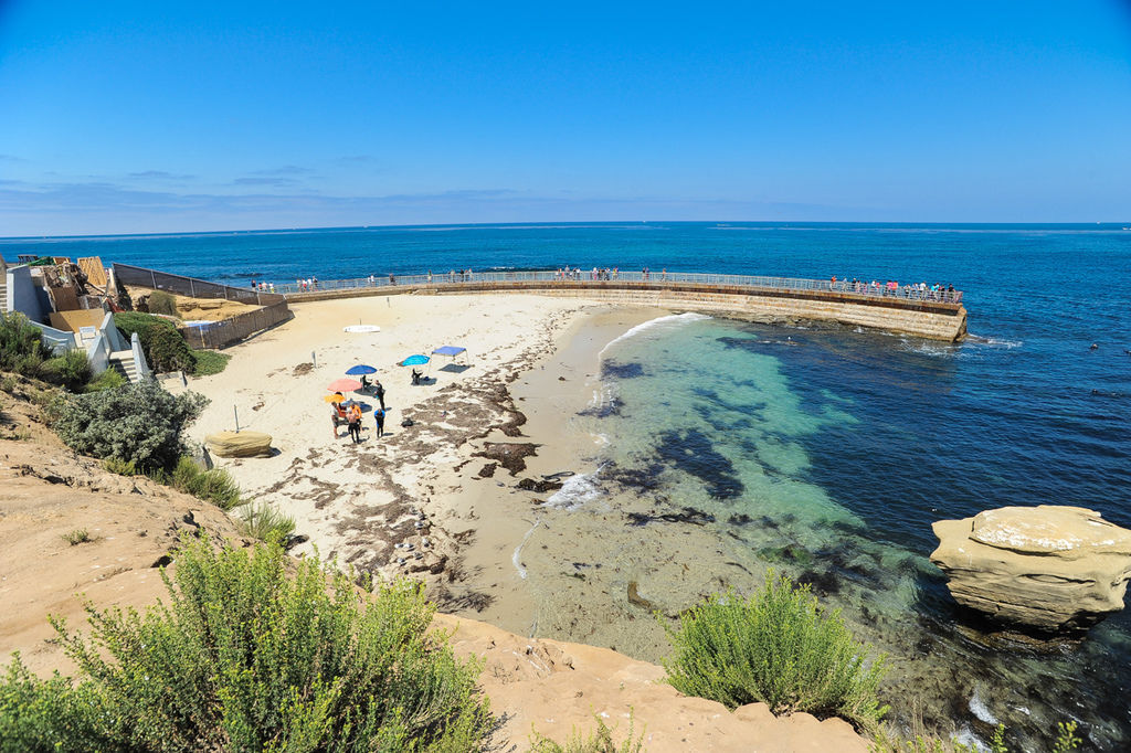 DSC_2742.JPG DSC_2742.JPG