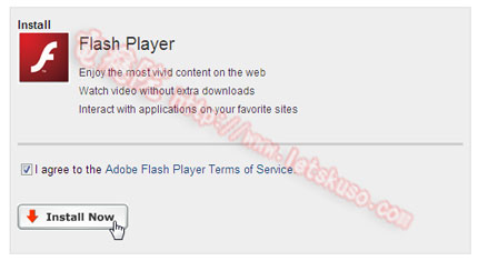 adobe systems, inc. adobe flash player for internet explorer adobe systems, inc. adobe flash player for internet explorer