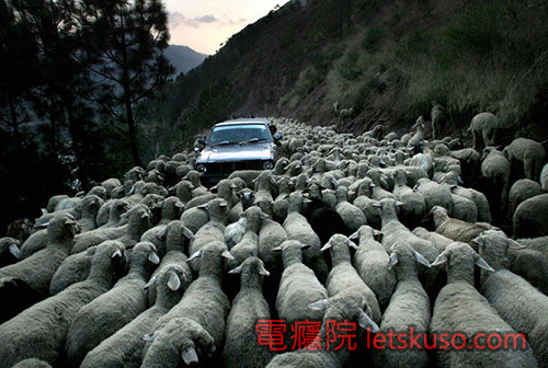 travel-1.jpg travel-1.jpg