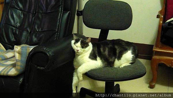 P1140206.JPG P1140206.JPG