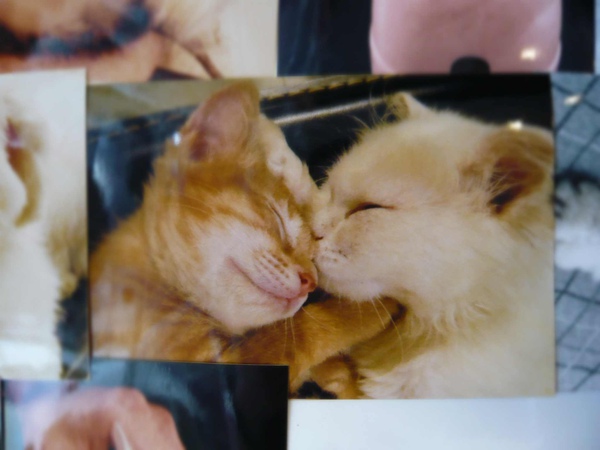 P1080348.JPG P1080348.JPG