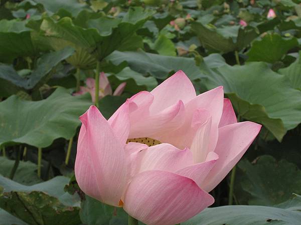 IMG_8995.jpg IMG_8995.jpg