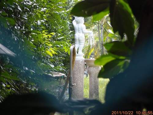 TRL1194.jpg TRL1194.jpg