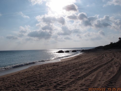 TRL1209.jpg TRL1209.jpg