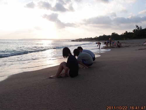 TRL1220.jpg TRL1220.jpg