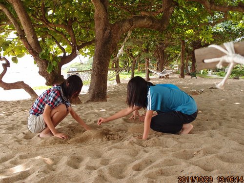 TRL1240.jpg TRL1240.jpg