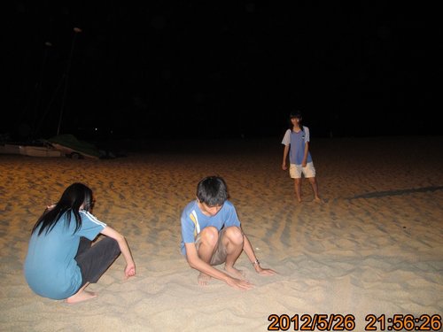 TRL1579.jpg TRL1579.jpg