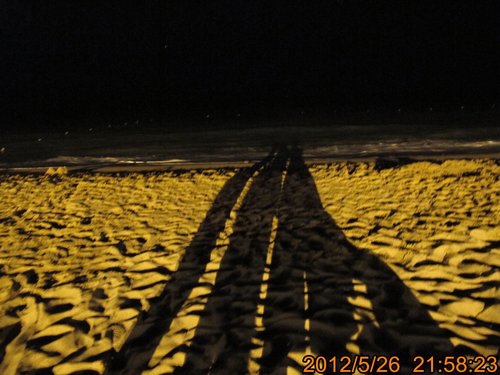 TRL1580.jpg TRL1580.jpg