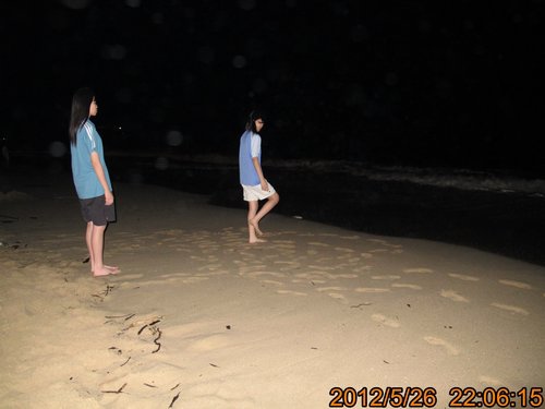 TRL1582.jpg TRL1582.jpg