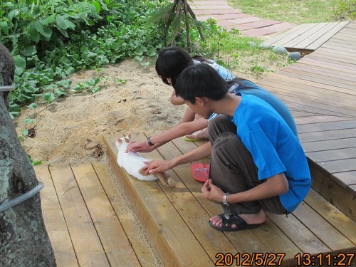 TRL1587.jpg TRL1587.jpg