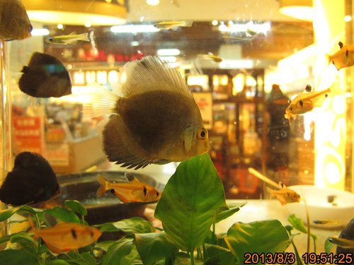 TRL1718.jpg TRL1718.jpg