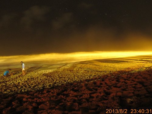 TRL1698.jpg TRL1698.jpg