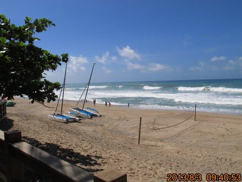 TRL1706.jpg TRL1706.jpg