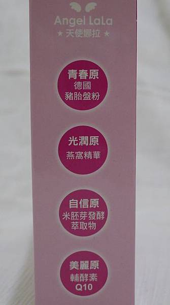 12 試用