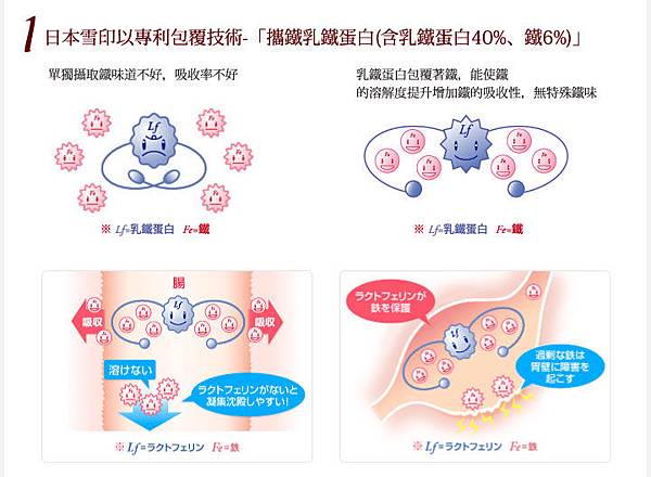 膠原蛋~1 試用