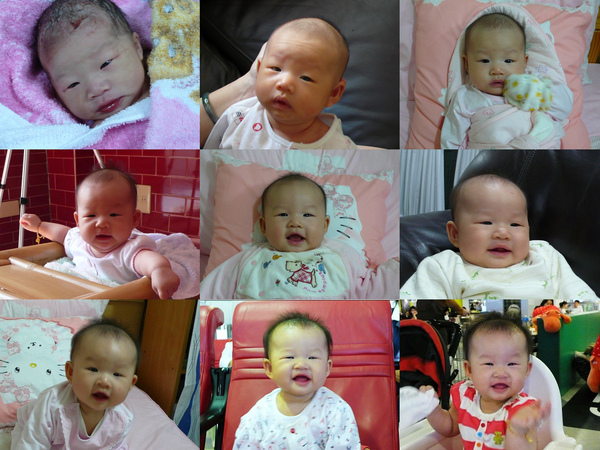 1-9個月a.jpg 1-9個月a.jpg