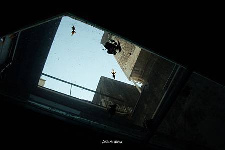 IMG_2867.jpg IMG_2867.jpg