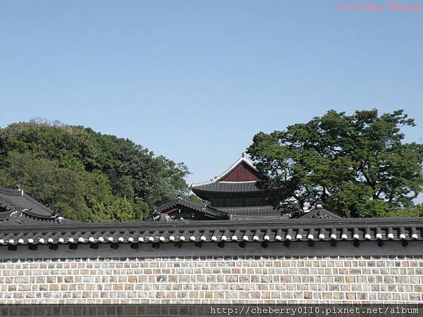 PSeoul 263 PSeoul 263