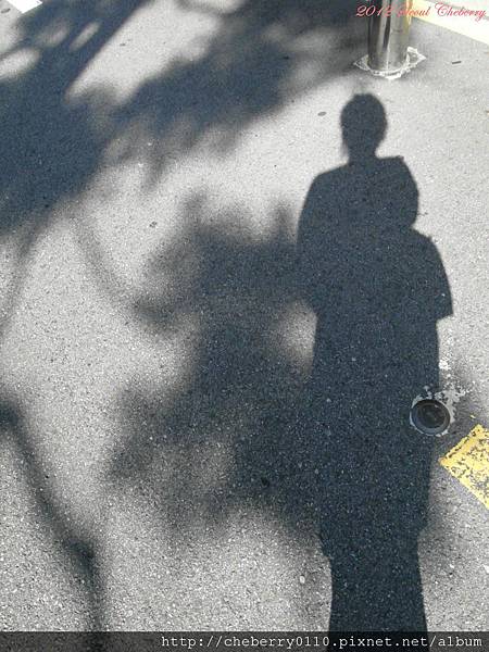 PSeoul 266 PSeoul 266