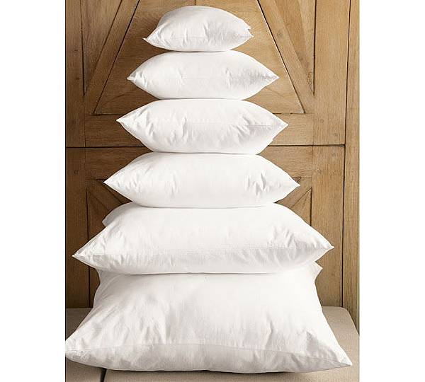 Pillow Inserts
