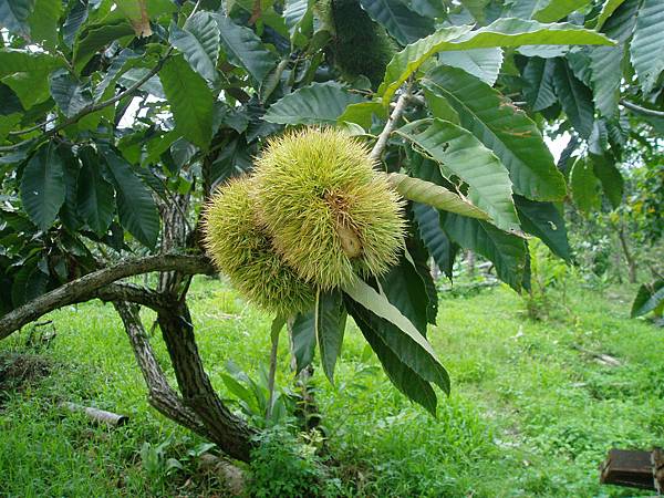 P9190074.JPG P9190074.JPG