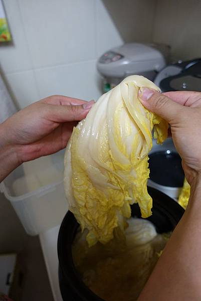 酸白菜.JPG 酸白菜.JPG
