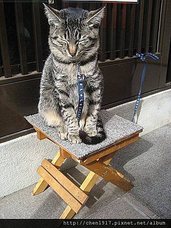 請輸入圖片標題 請輸入圖片標題