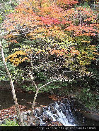 請輸入圖片標題 請輸入圖片標題