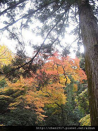 I2ZRHgGNwsa8SgKDO5_bkQ.jpg I2ZRHgGNwsa8SgKDO5_bkQ.jpg