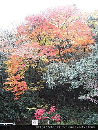 Nn_dPaL8RxpBQ4fFPJMEYw.jpg Nn_dPaL8RxpBQ4fFPJMEYw.jpg