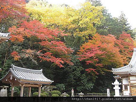 請輸入圖片標題 請輸入圖片標題