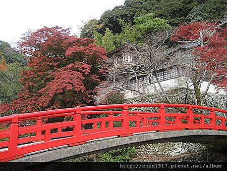 請輸入圖片標題 請輸入圖片標題