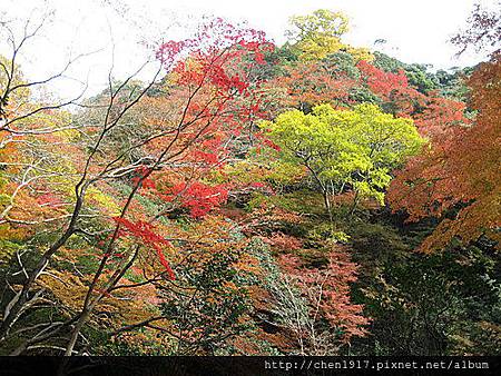 uwSUaXXgDAzWz6fnr7ZxOA.jpg uwSUaXXgDAzWz6fnr7ZxOA.jpg