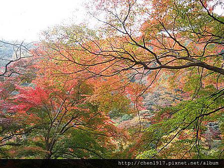 na_v3yhbpRdQOSMgPp8OoQ.jpg na_v3yhbpRdQOSMgPp8OoQ.jpg